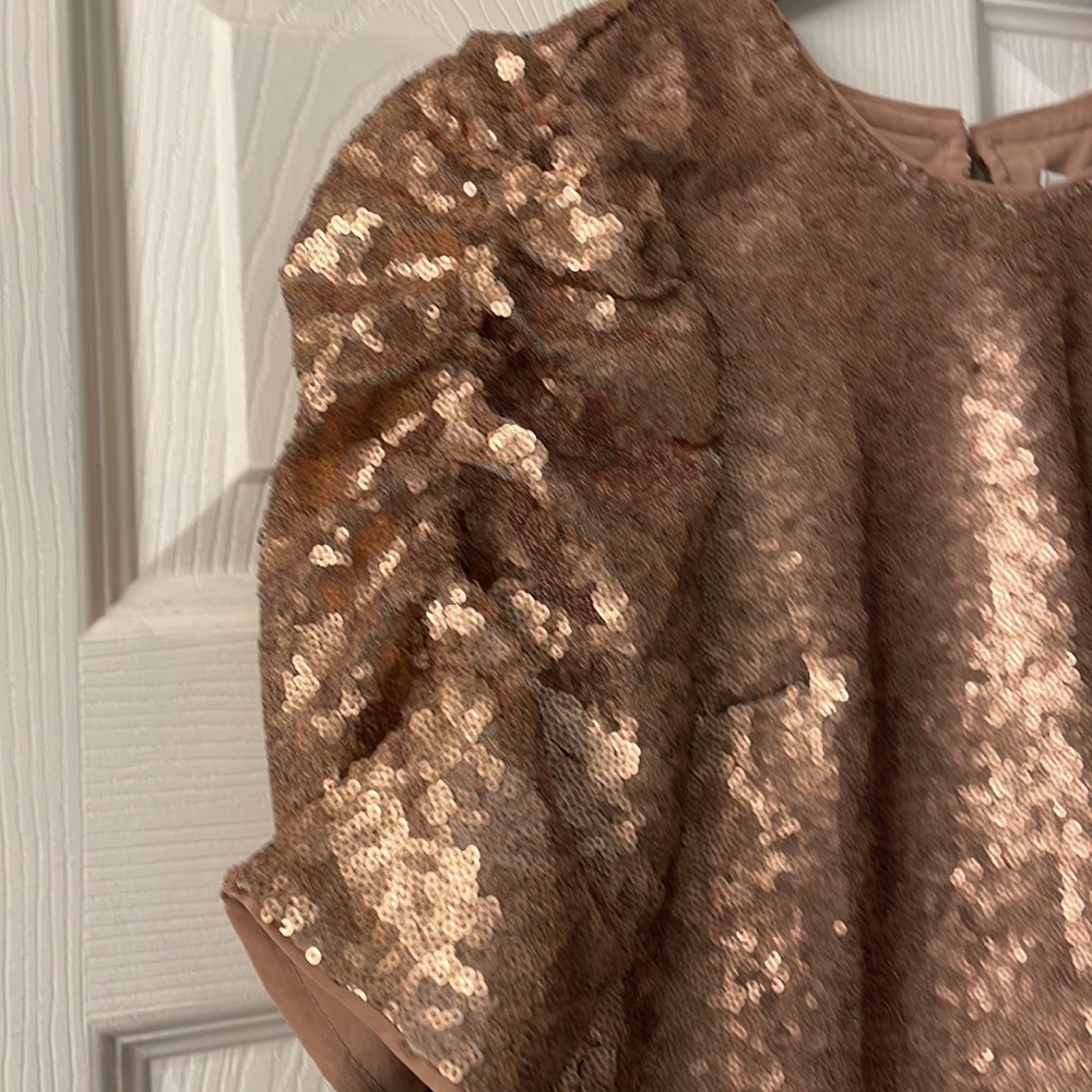 Abercrombie &Fitch Rose gold sequin top size XS - Picture 2 of 5